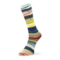 Evolution Chroma Matching Socks