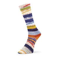 Evolution Chroma Matching Socks