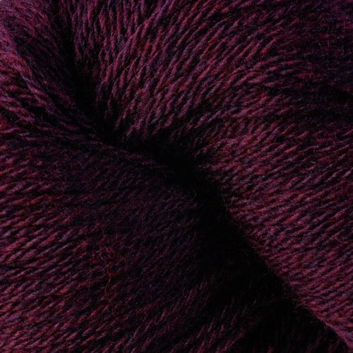 Black Currant