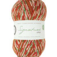 West Yorkshire Spinners Signature 4-Ply