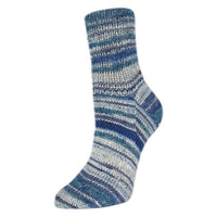 Flotte Socke 4 Ply Men's Socks