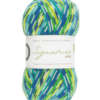 West Yorkshire Spinners Signature 4-Ply