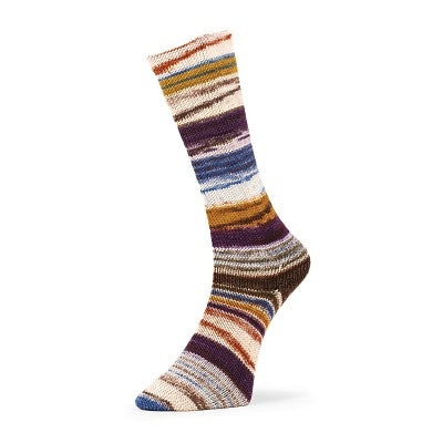 Evolution Chroma Matching Socks