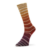 Evolution Aurora Matching Socks