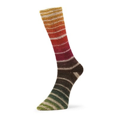 Evolution Aurora Matching Socks