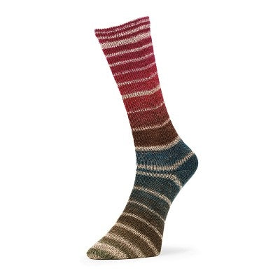 Evolution Aurora Matching Socks