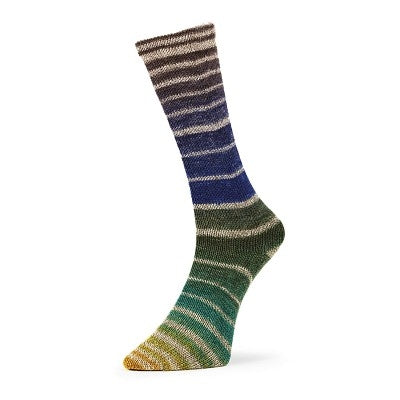 Evolution Aurora Matching Socks
