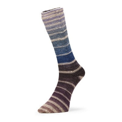 Evolution Aurora Matching Socks