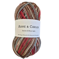 Multicolored skein of yarn with Arne & Carlos label on a white background