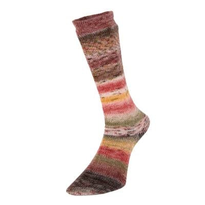 Evolution Celebration Sock