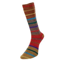 Evolution Stripe Sock
